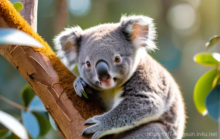 콩순이 주요 목소리 배우 - A vibrant, dynamic street photography shot featuring three diverse college students, approximately 1...